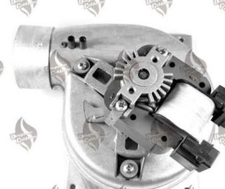 Extractor Caldera Roca Laura 20/20 F