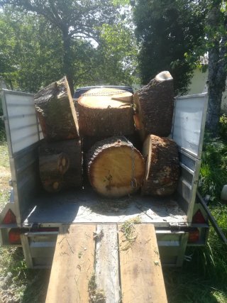 Remolque basculante 2500 kg matrícula roja