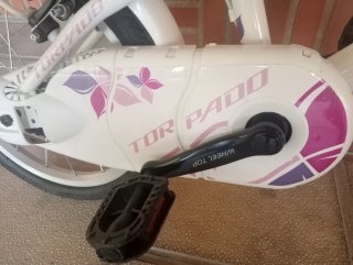 Bicicleta infantil Torpado Fresh Girl