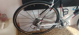Bicicleta Proflex Carbono talla L