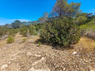 Terreno en venta en Cala Vedella - Cala Tarida - Cala Conta en Sant Josep de sa Talaia