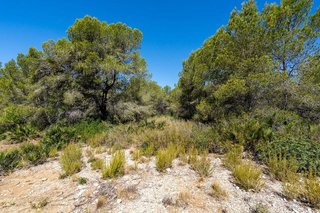 Terreno en venta en L'Ametlla de Mar en Ametlla de Mar, l´