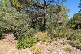 Terreno en venta en L'Ametlla de Mar en Ametlla de Mar, l´