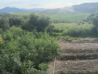 Solar en venta en Olletas - Sierra Blanquilla en Málaga