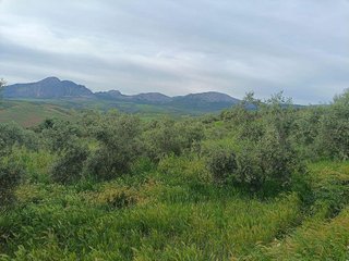 Solar en venta en Olletas - Sierra Blanquilla en Málaga