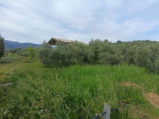 Solar en venta en Olletas - Sierra Blanquilla en Málaga