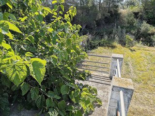 Terreno en venta en Ulldecona