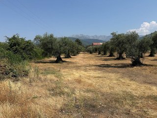 Terreno en venta en Candeleda