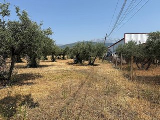 Terreno en venta en Candeleda