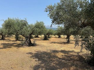 Terreno en venta en Candeleda
