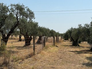 Terreno en venta en Candeleda