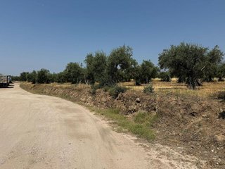 Terreno en venta en Candeleda