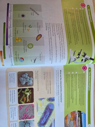 BIOLOGY & GEOLOGY MADRID 1 ESO WORLD MAKERS