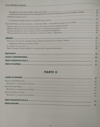 Neurología. Sistema nervioso. Medicina