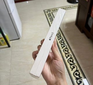 Apple    pencil    2nd    iPad    Accesorios