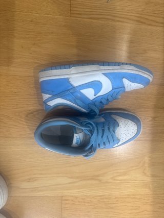 Nike Dunk Low Azul y Blanco