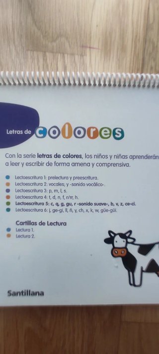 Libro de lectoescritura 5 Santillana