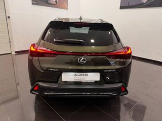Lexus UX F SPORT LEGEND
