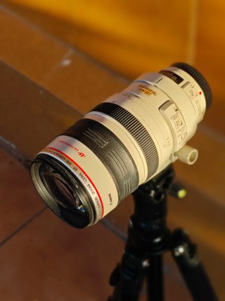 Canon 100-400mm f/4-5.6 L IS USM + Parasol y funda