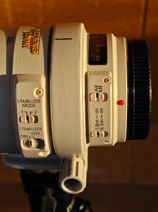 Canon 100-400mm f/4-5.6 L IS USM + Parasol y funda