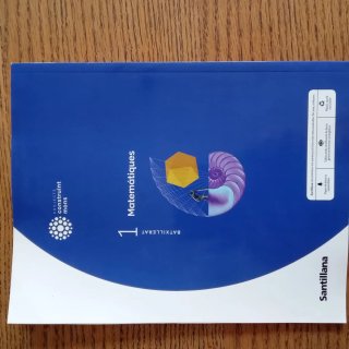Matemàtiques aplicades a les Ciències Socials I...