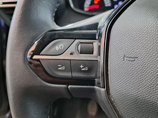 Peugeot 2008 2021