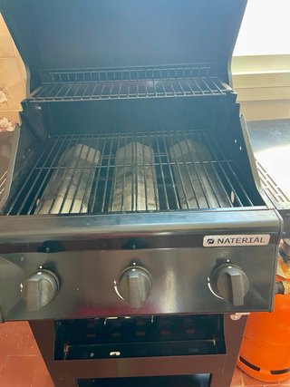 Barbacoa de gas negra con bombona