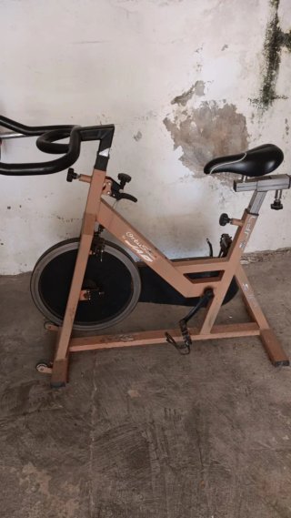 Bicicleta Estática Ortus Fitness