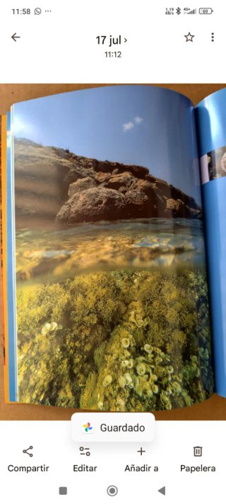 Libro Especies marinas singulares