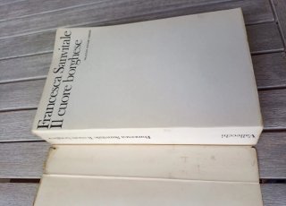 Romanzo "Il cuore borghese" scritto da  Sanvitale