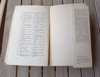 Romanzo "Il cuore borghese" scritto da  Sanvitale