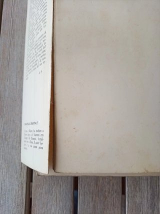 Romanzo "Il cuore borghese" scritto da  Sanvitale