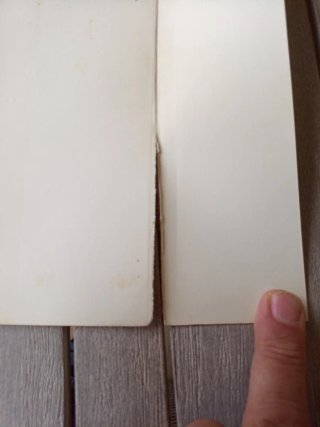 Romanzo "Il cuore borghese" scritto da  Sanvitale
