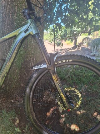 Bicicleta Giant Reign 29 Talla M