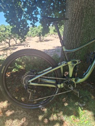 Bicicleta Giant Reign 29 Talla M