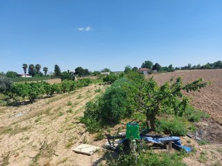 PARCELA RUSTICA CON CASA
