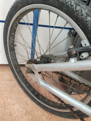 GT Performer BMX 20