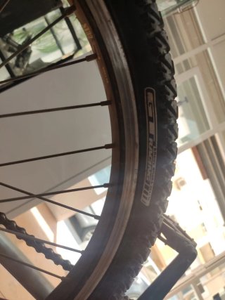 GT Performer BMX 20