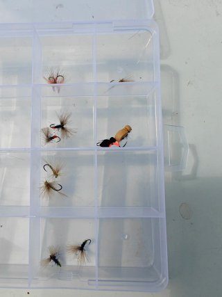 Set de moscas de pesca