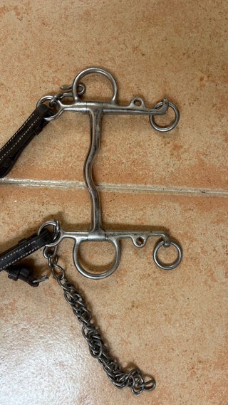 Bocado para caballos con cadena sin mucho puente