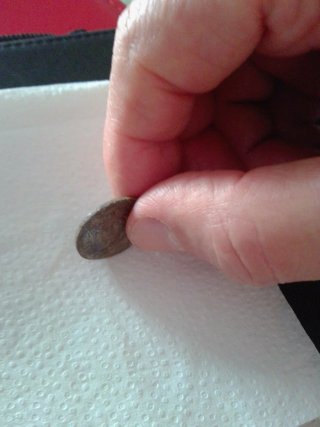 Ficha romana antigua