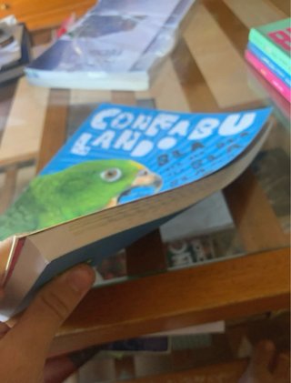Libro Lengua II Edelvives 2º Bachillerato