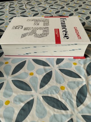Dizionario medio francese