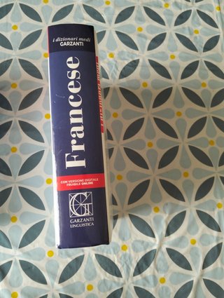 Dizionario medio francese