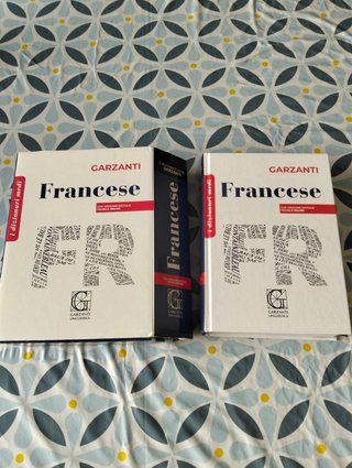 Dizionario medio francese