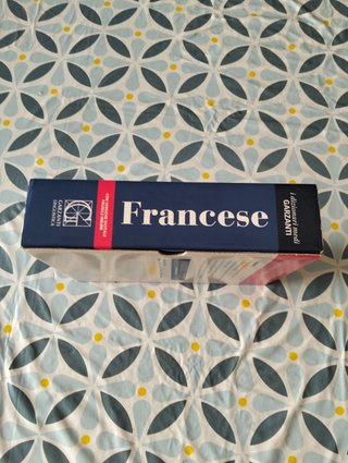 Dizionario medio francese