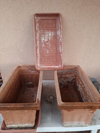 1) 2 Vasi rettangolari con sottovasi