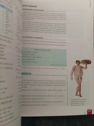 Latín, Bachillerato 2