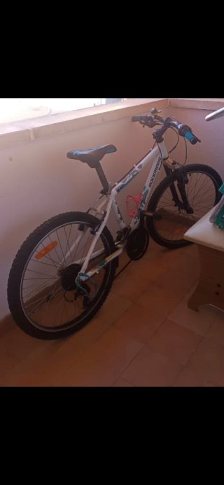 Bicicleta Montaña Rin 24