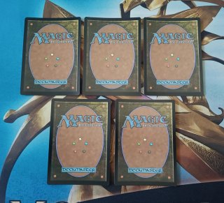 MAGIC FOIL - SET TIERRAS BÁSICAS